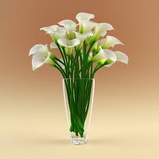 new test add product